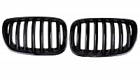 Решетки радиатора для BMW X5 2004-06. Черные