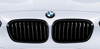 Решетки радиатора для BMW F20. М-Перфоманс