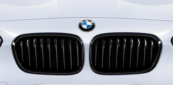 Решетки радиатора для BMW F20. М-Перфоманс
